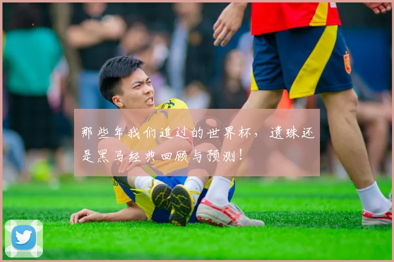 那些年我们追过的世界杯,遗珠还是黑马经典回顾与预测!
